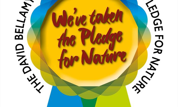 David Bellamy Award